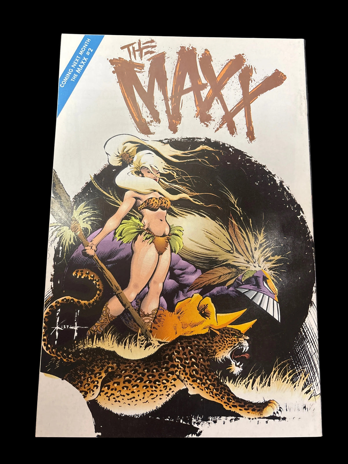 IMAGE THE MAXX #1 1993 SAM KEITH LEGENDARY ARTIST