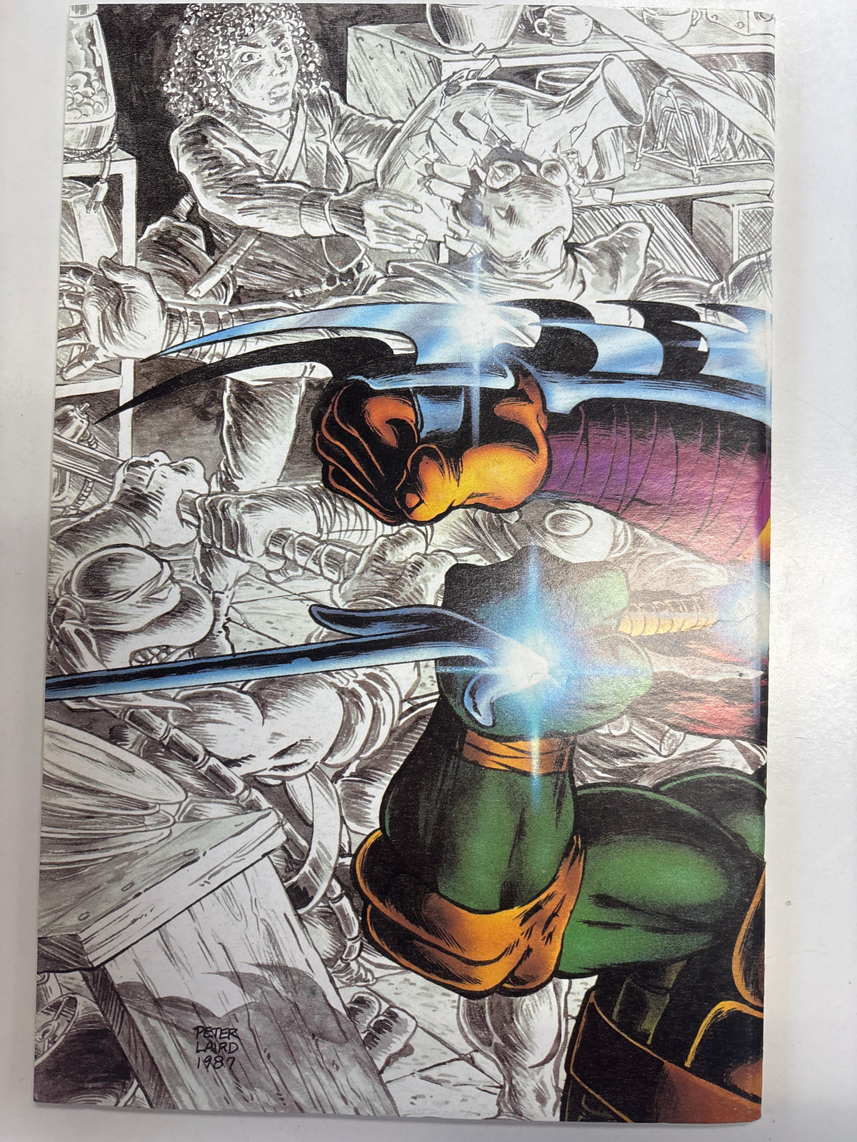 EASTMAN AND LAIRD’S TEENAGE MUTANT NINJA TURTLES 1ST PRINTING #10