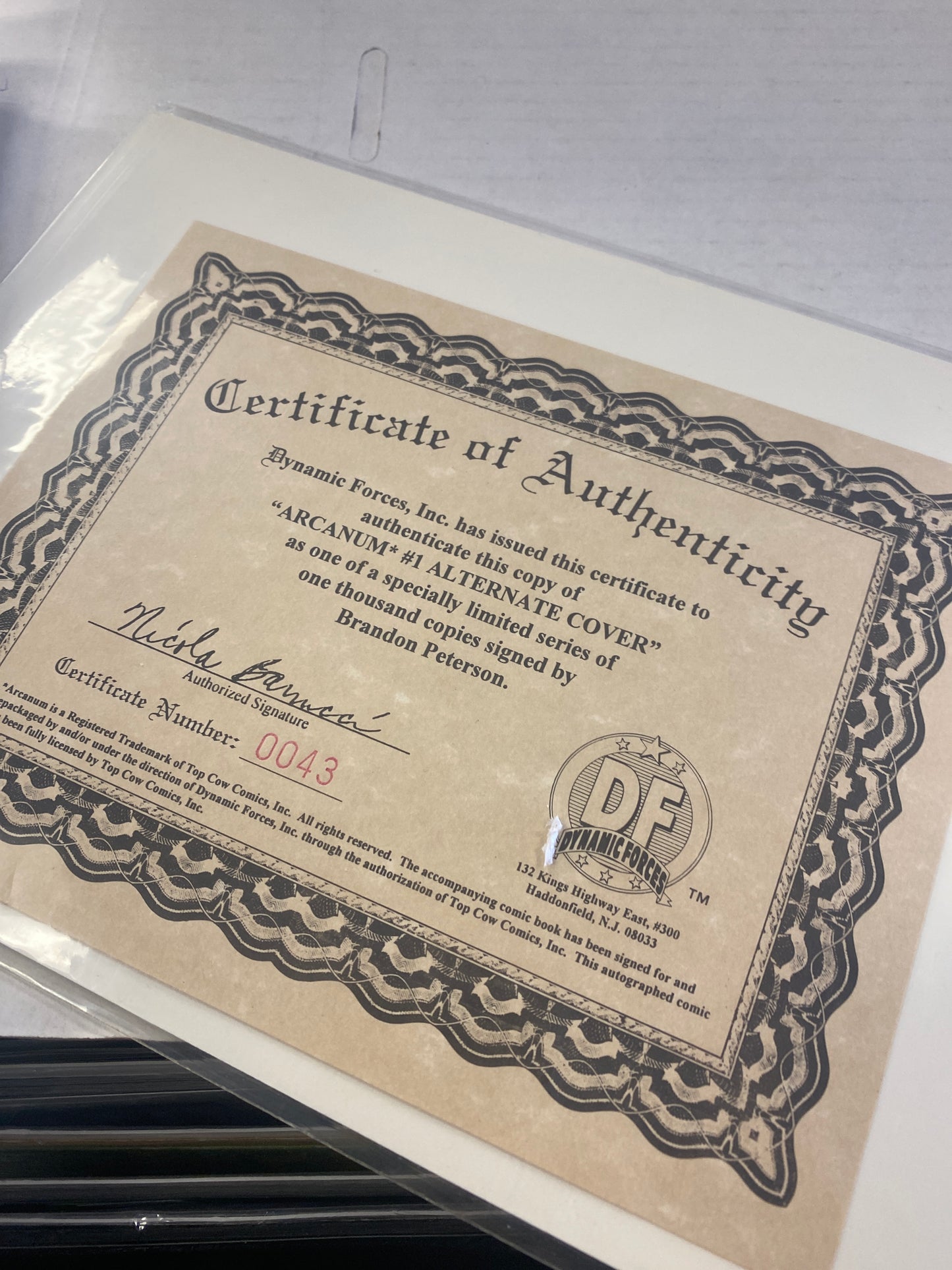 IMAGE COMICS ARCANUM #1 SIGNED BY BRANDON PETERSON WITH COA