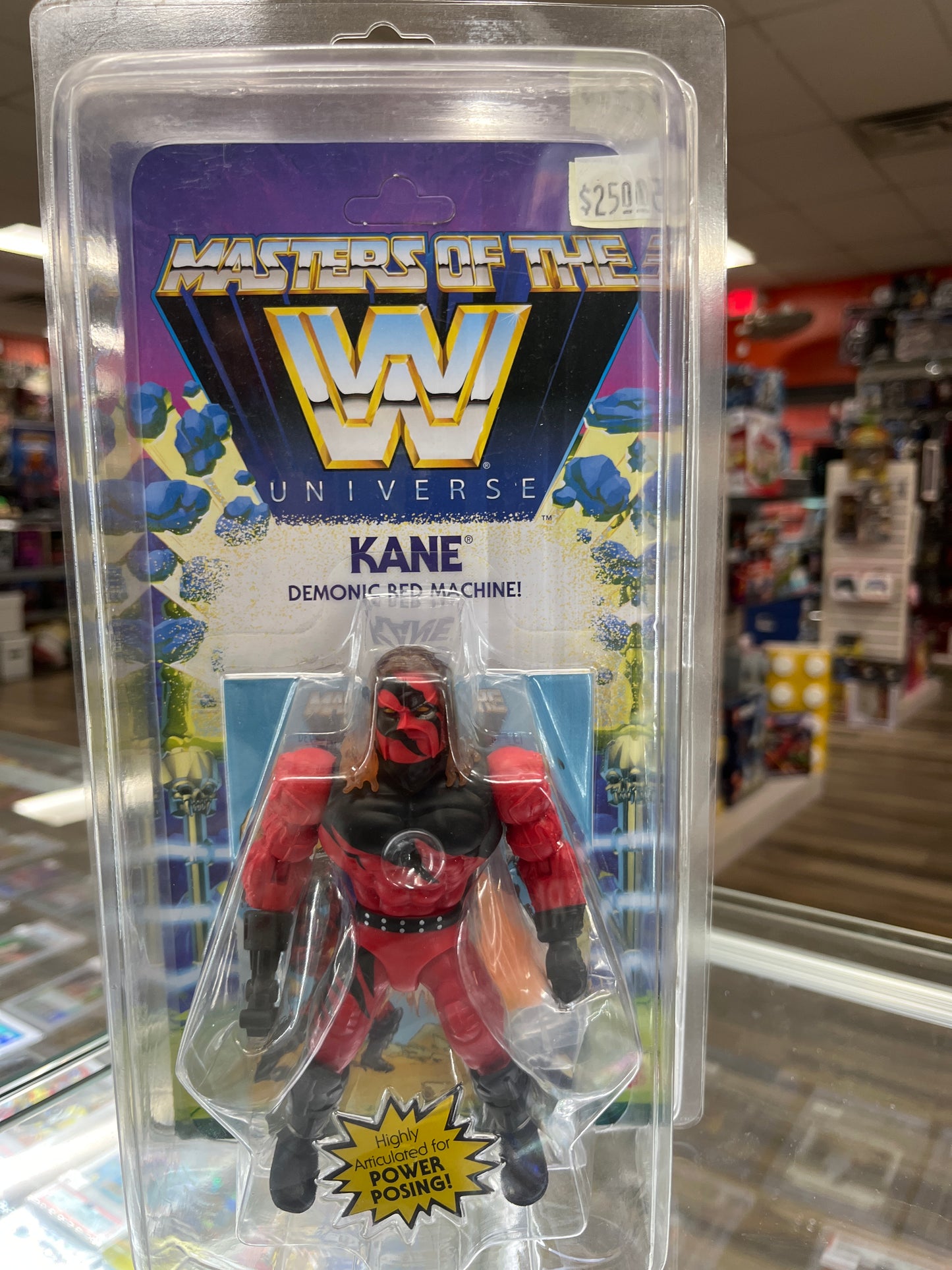 MASTERS OF THE W UNIVERSE KANE
