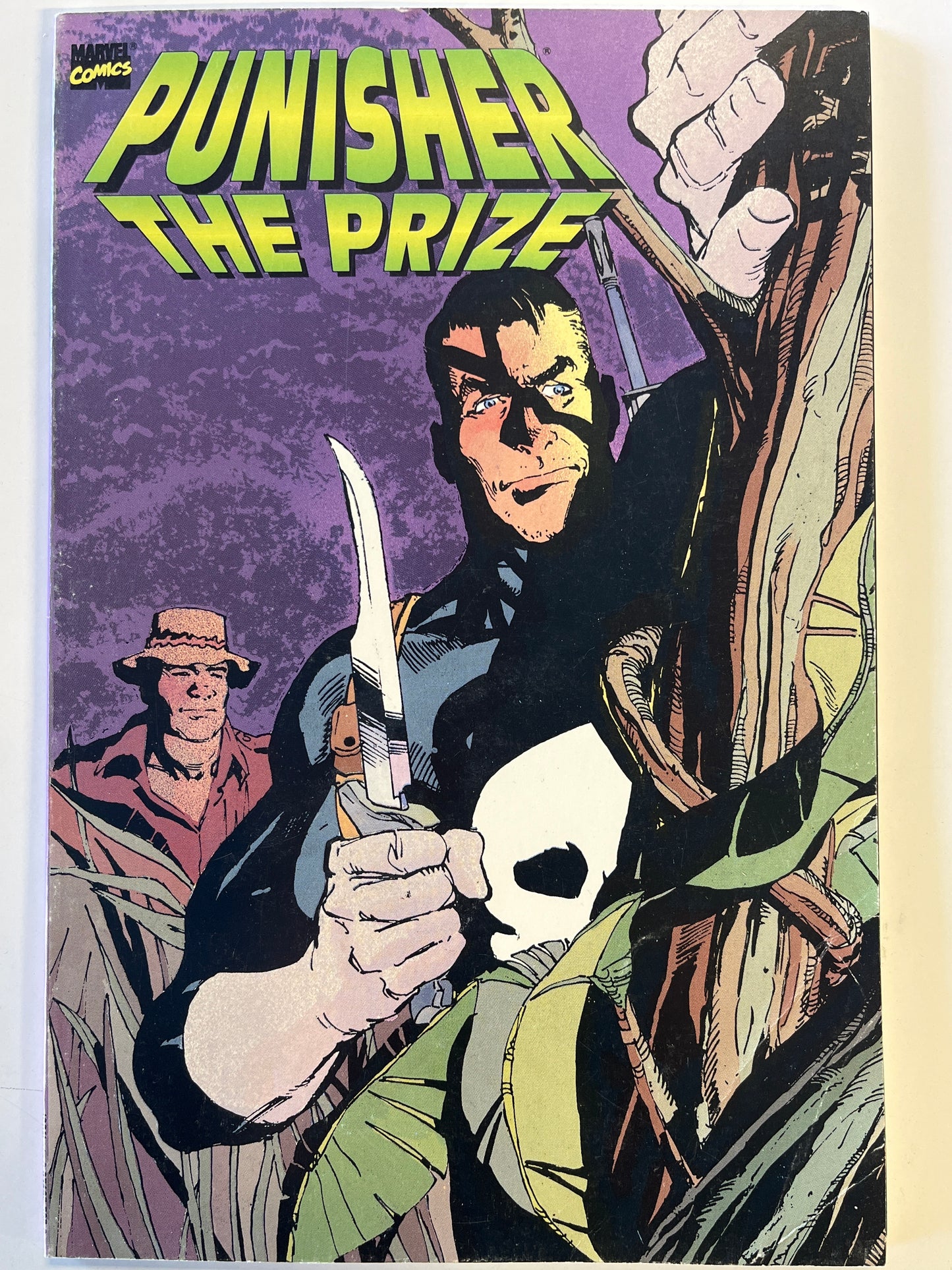 MARVEL COMICS PUNISHER THE PRIZE TRADE PAPERBACK