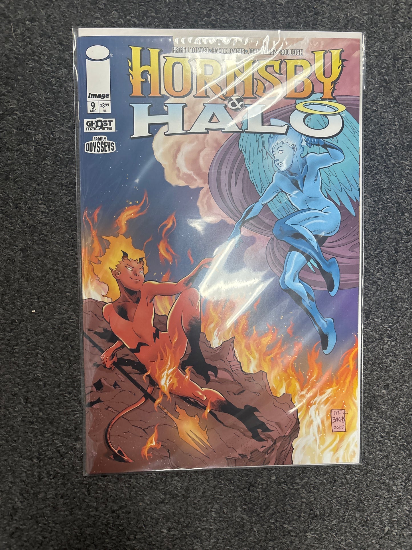 IMAGE COMICS HORNSBY AND HALO #9 1025