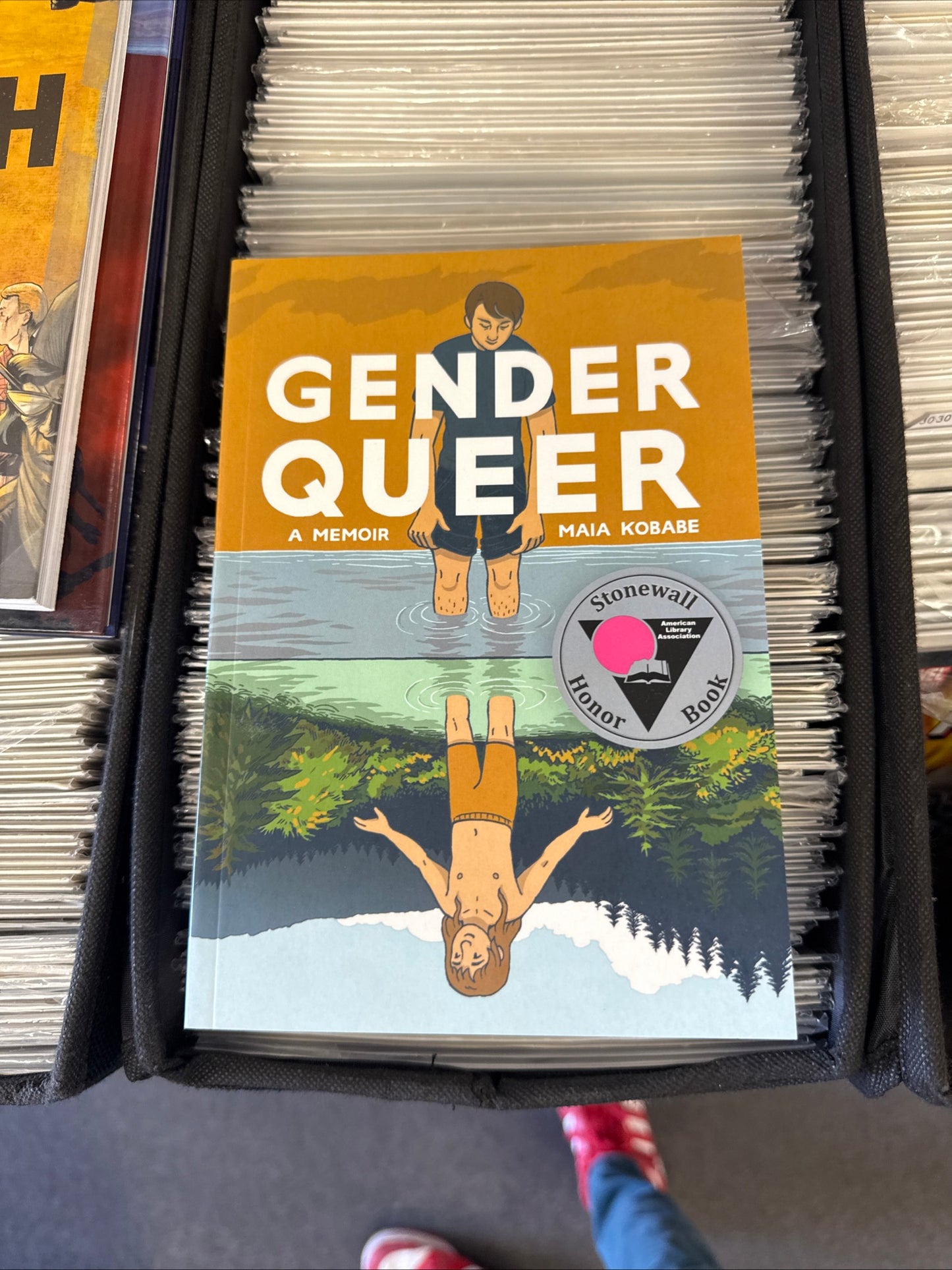 GENDER QUEER MEMIOR MAIA KNOW BABE stonewall honor book