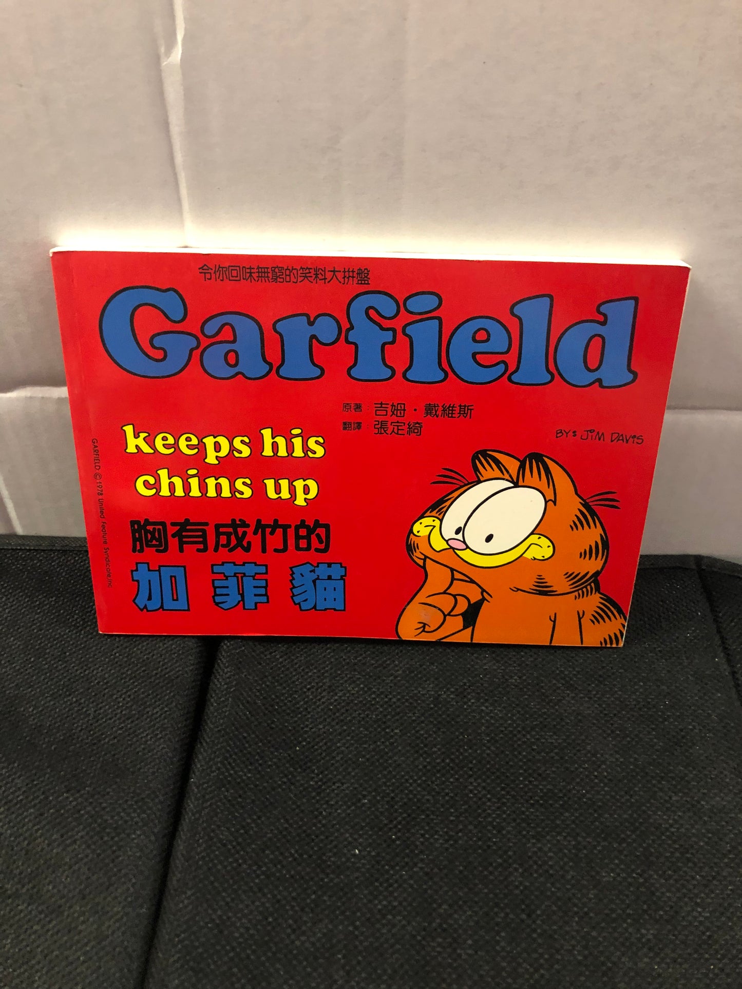 PAWS GARFIELD KEEPS HIS CHIN UP (1999) CHINESE LANGUAGE