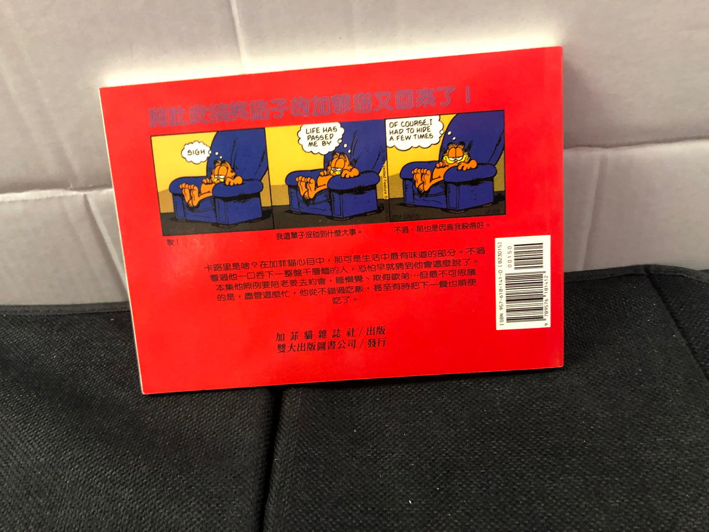 PAWS GARFIELD KEEPS HIS CHIN UP (1999) CHINESE LANGUAGE
