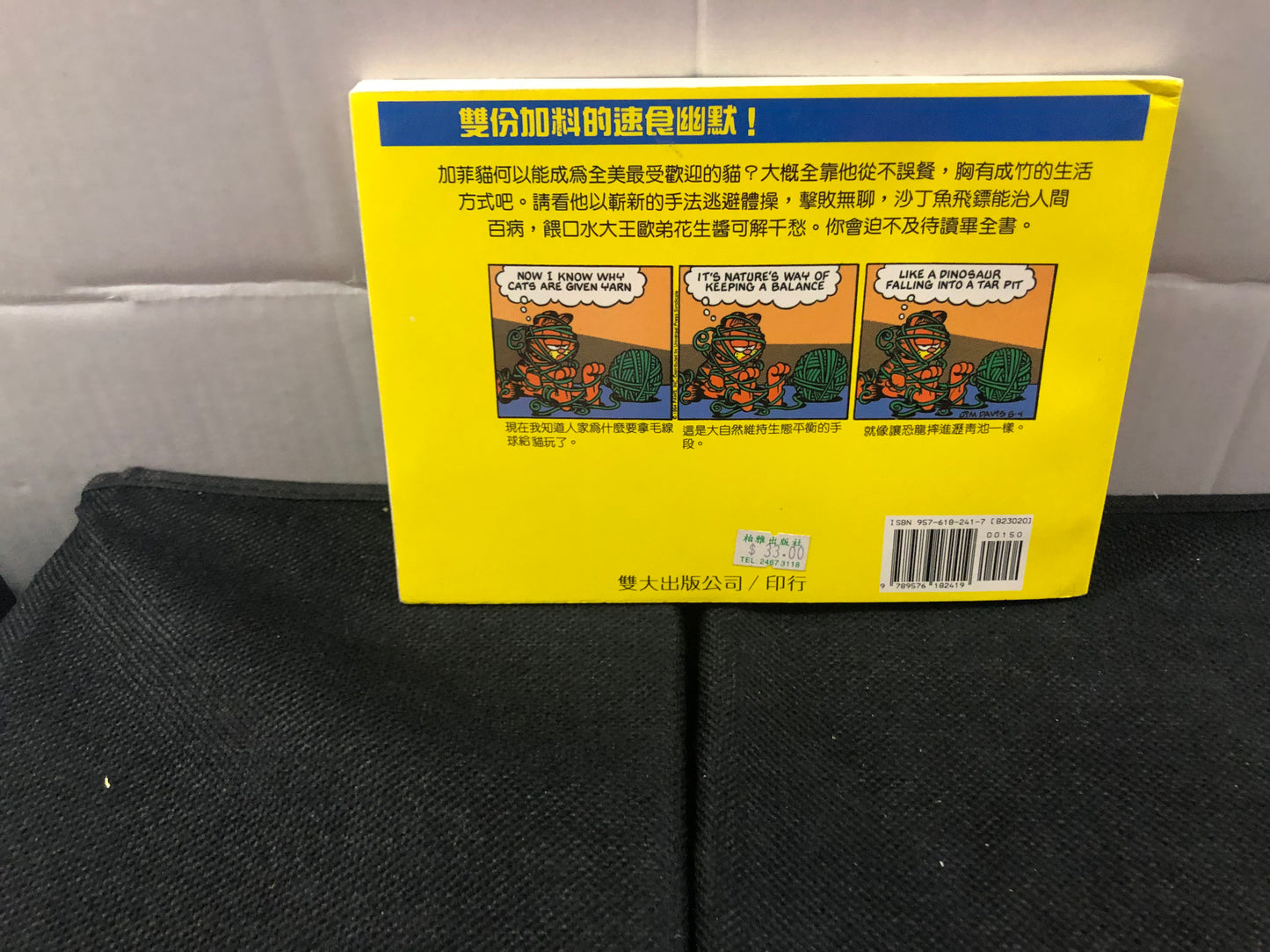 PAWS GARFIELD LIFE IN THE FAT LANE (1999) CHINESE LANGUAGE