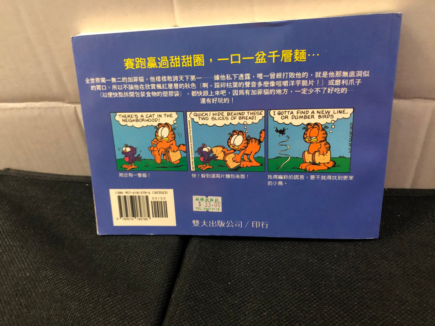 PAWS GARFIELD HAMS IT UP (1999) CHINESE LANGUAGE