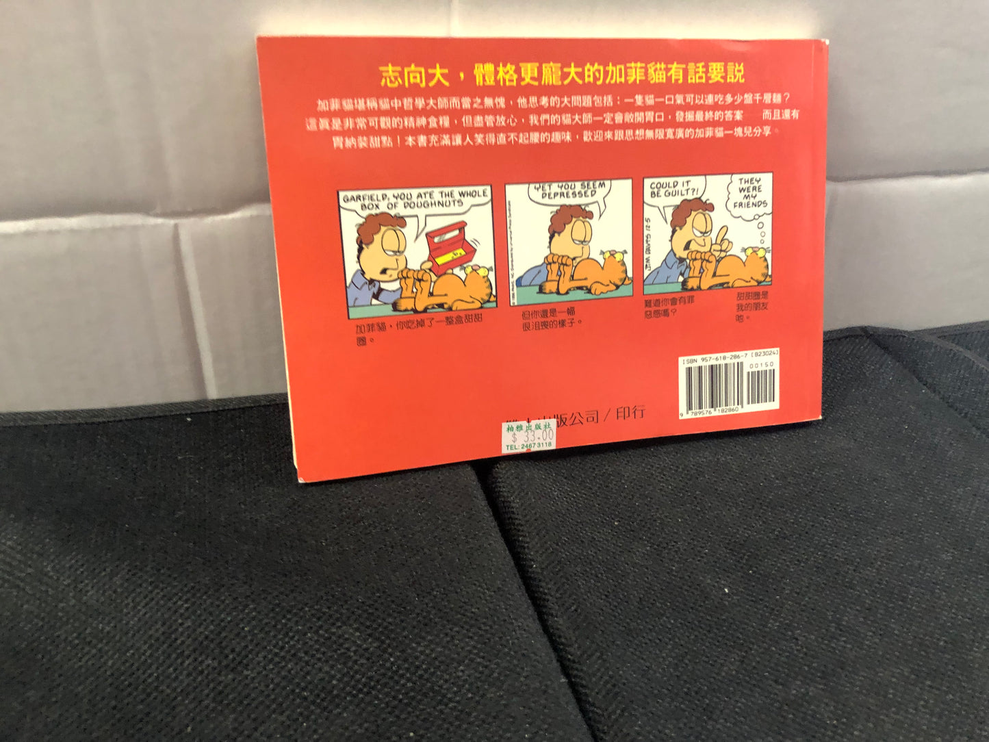 SHUANG DAH BOOKS GARFIELD THINKS BIG (1998) CHINESE LANGUAGE