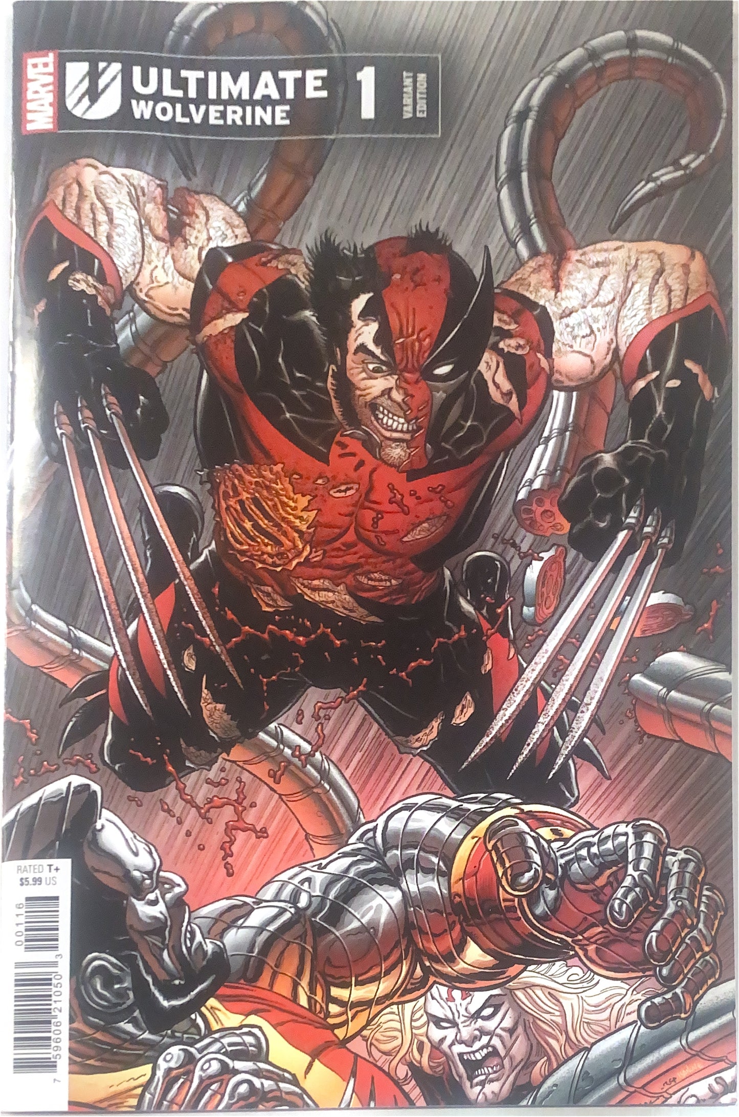 MARVEL COMICS ULTIMATE WOLVERINE #1 1:25 COVER