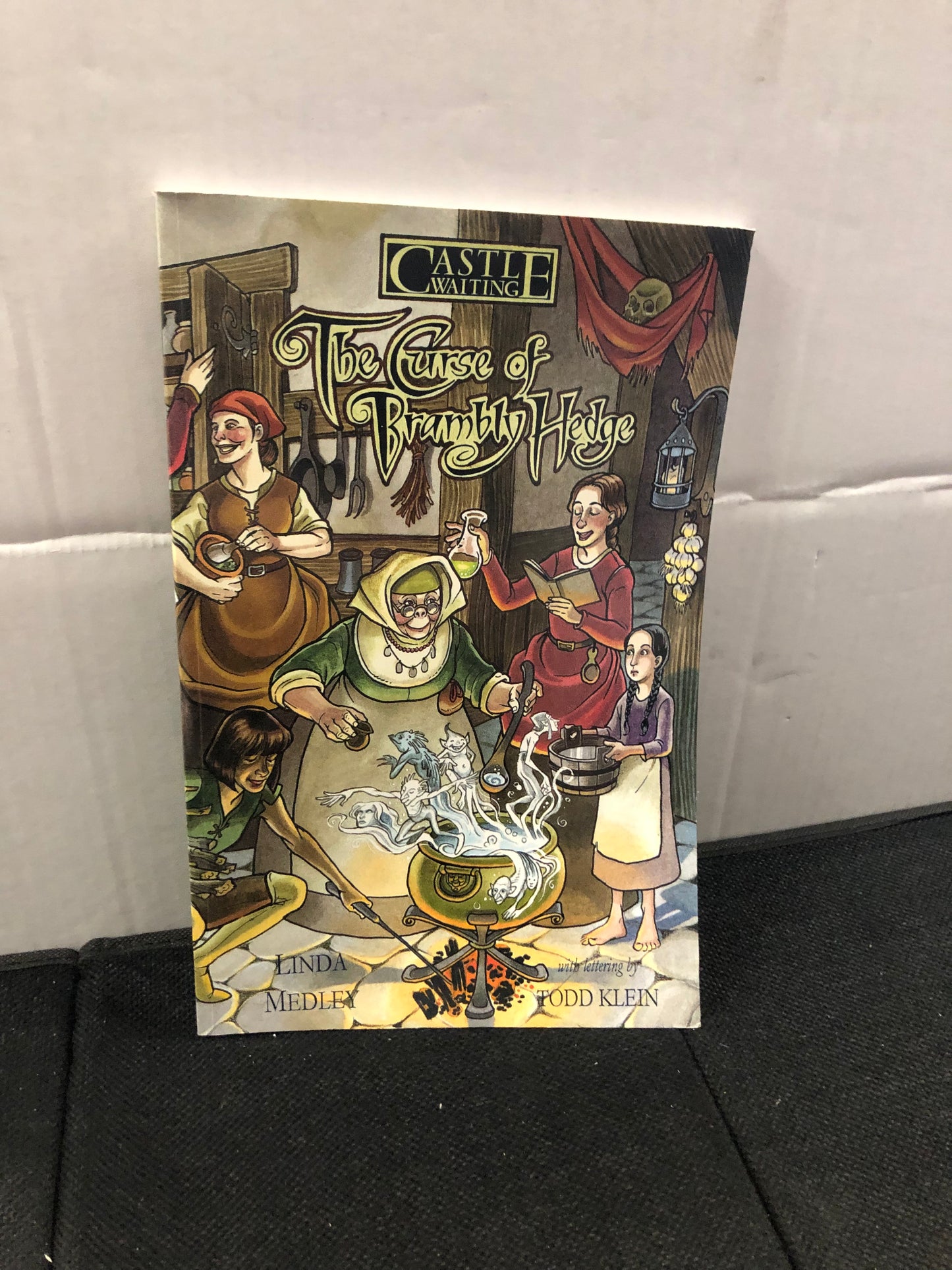 OLIO CASTLE WAITING THE CURSE OF BRAMBLY HEDGE SECOND PRINTING (1999)