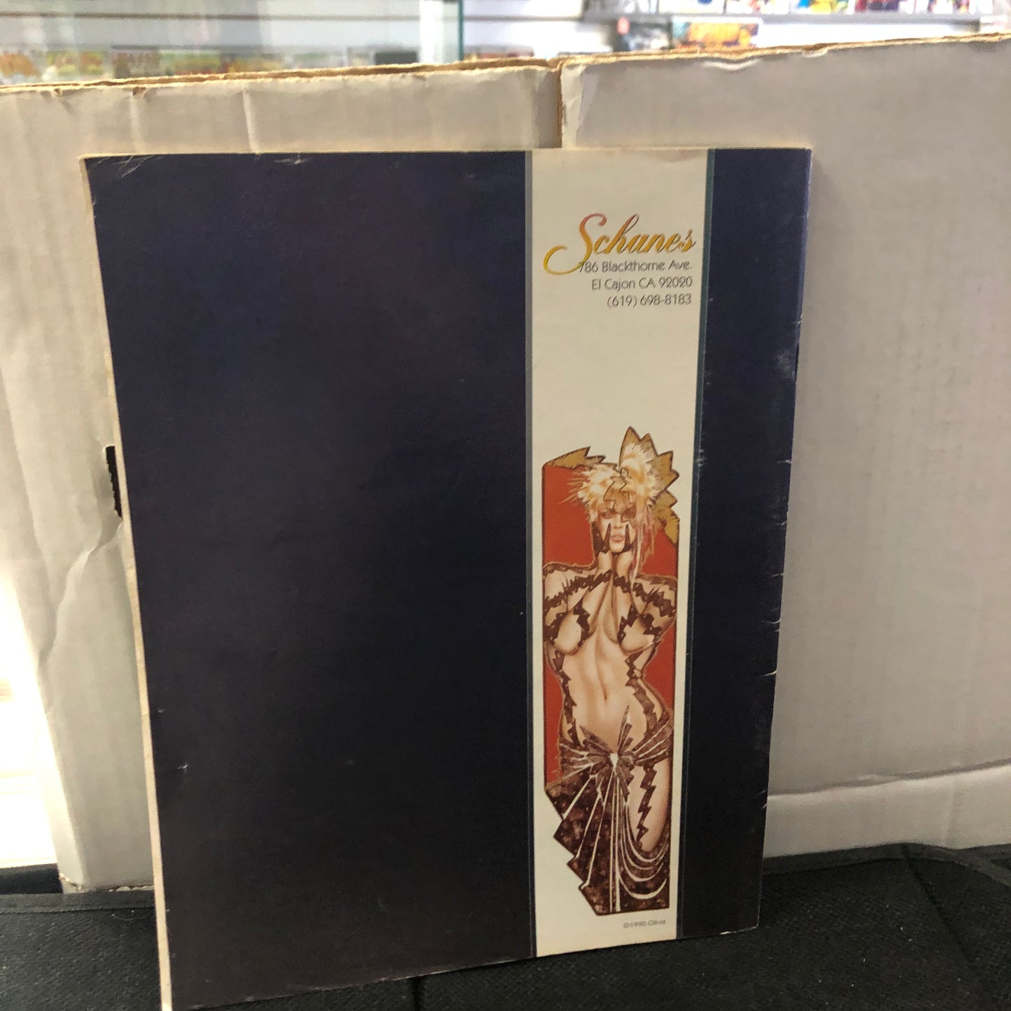 SCHANES 1991 FANTASY ART CATALOG