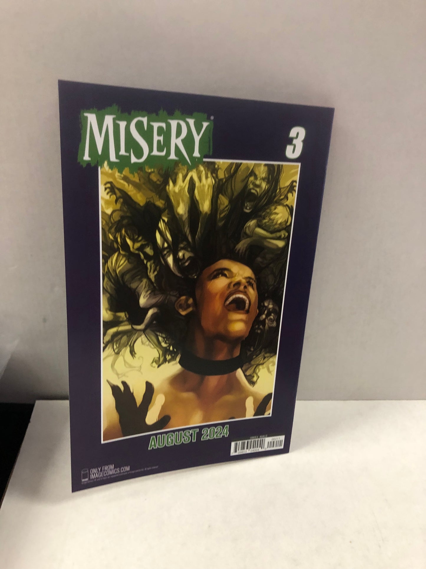 IMAGE COMICS MISERY 2 1025