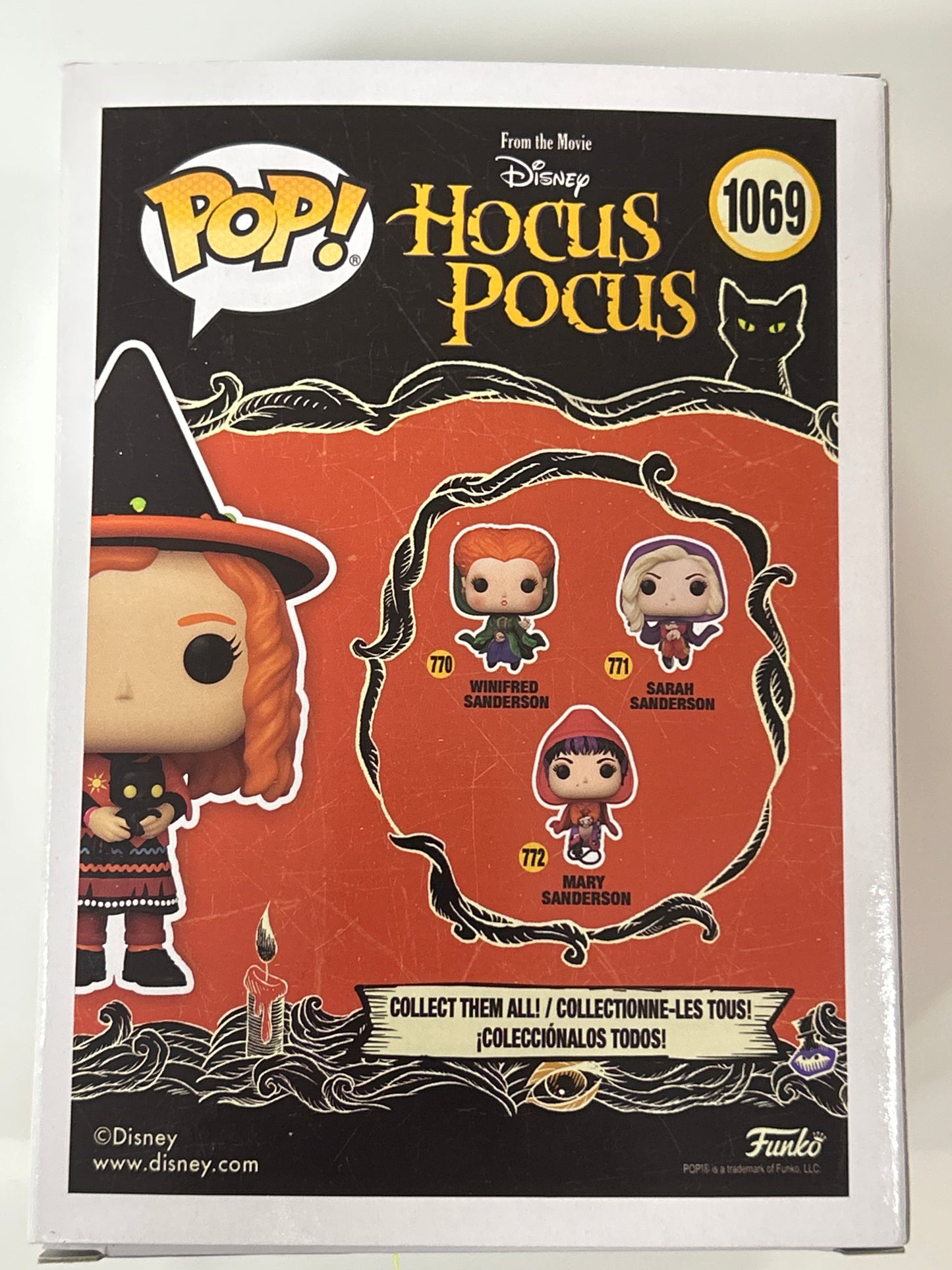 FUNKO POP HOCUS POCUS DANI WITH BINX SPIRIT EXCLUSIVE GREAT CONDITION