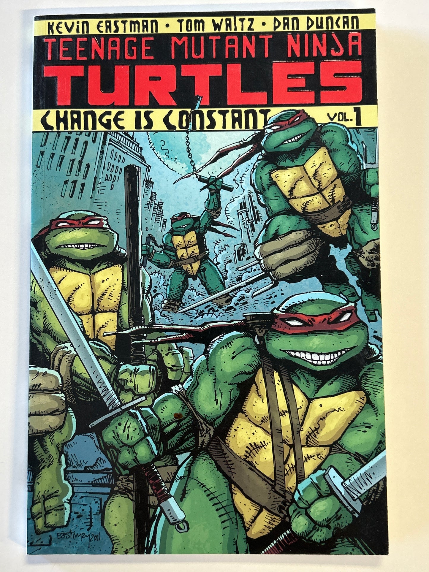 IDW TEENAGE MUTANT NINJA TURTLES: CHANGE IS CONSTANT VOL. 1 TRADE PAPERBACK