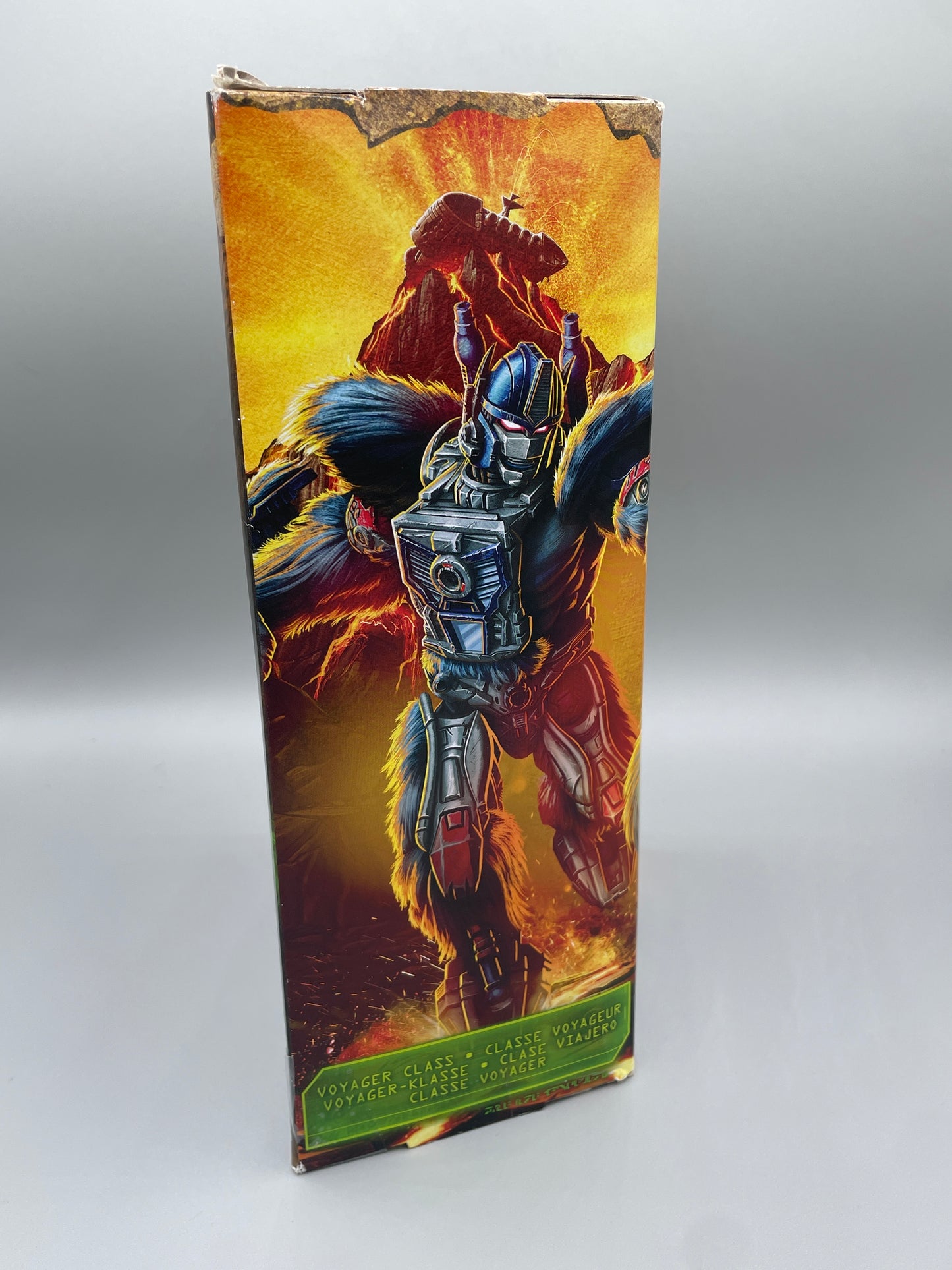 TRANSFORMERS KINGDOM - WAR FOR CYBERTRON TRILOGY OPTIMUS PRIMAL HASBRO FIGURE! CIB VERY NICE!