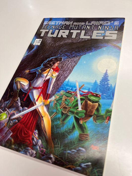 MIRAGE STUDIOS TEENAGE MUTANT NINJA TURTLES #13