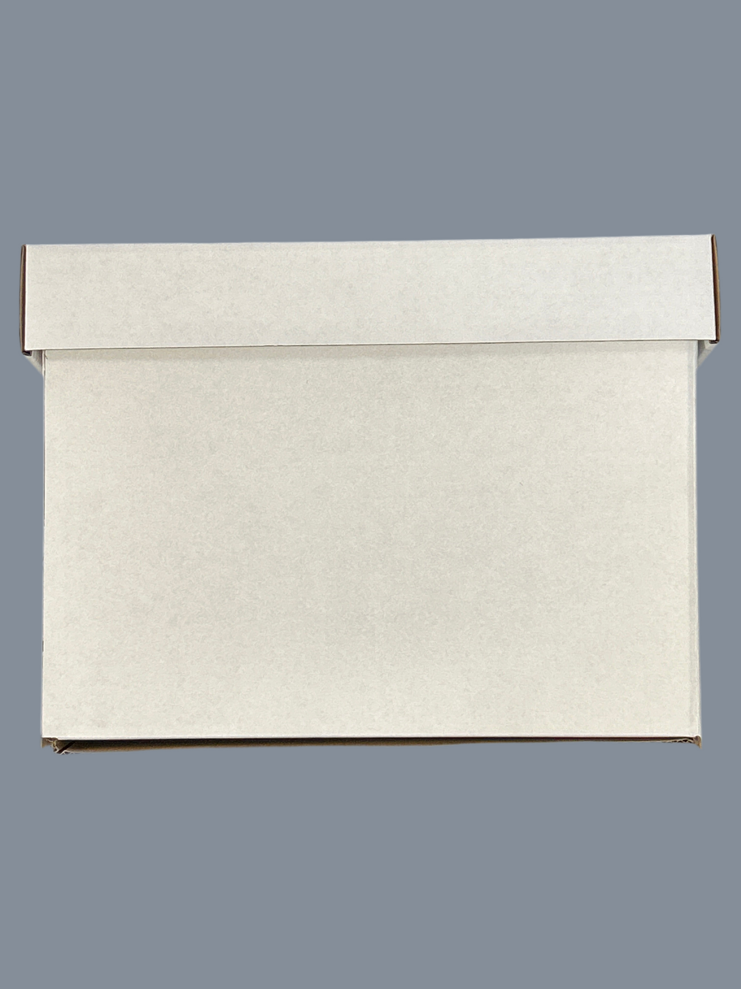 GUARDHOUSE SHORT COMIC BOX