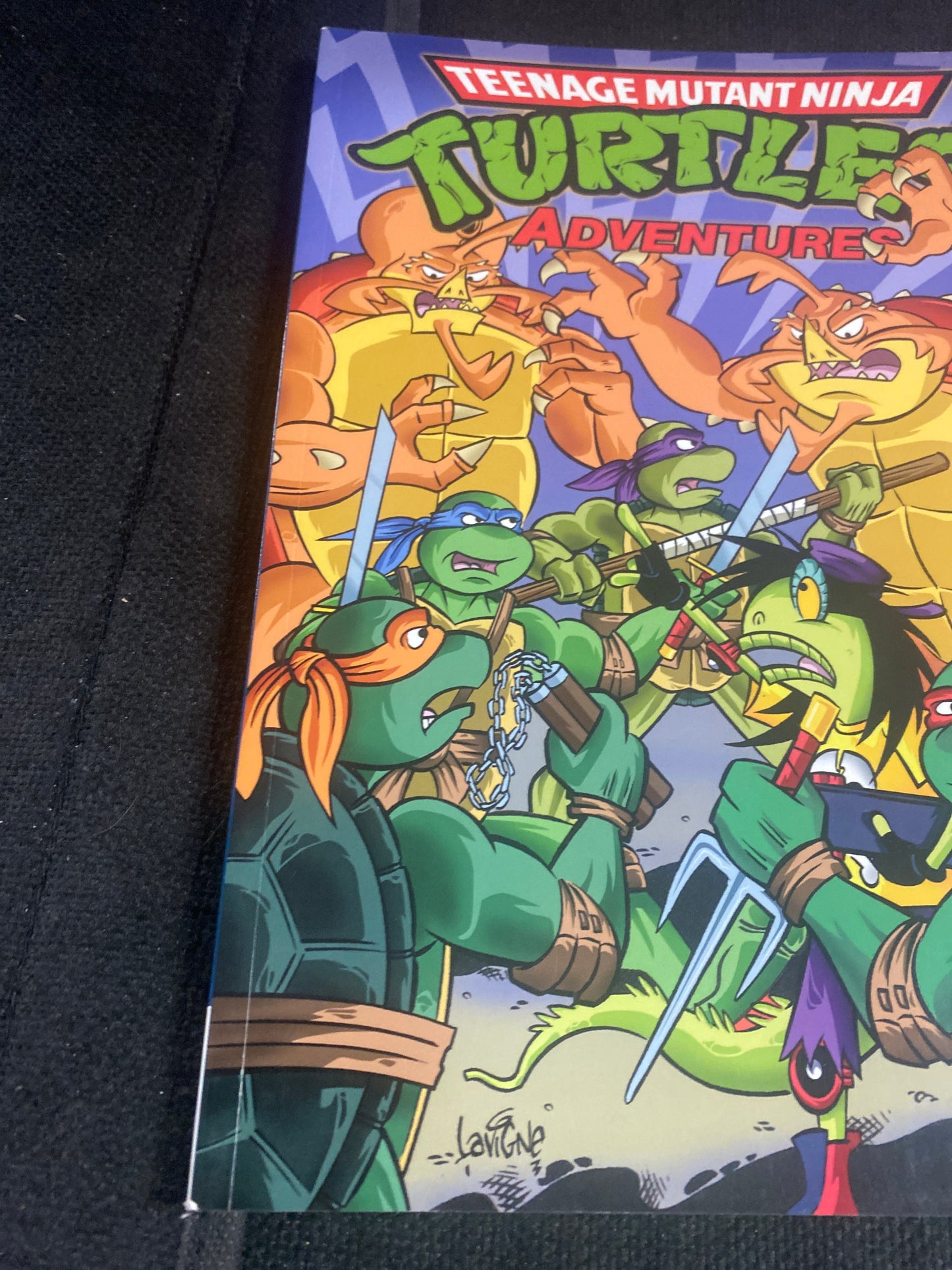 IDW PUBLISHING TEENAGE MUTANT NINJA TURTLES ADVENTURES VOLUME #5 (2013)