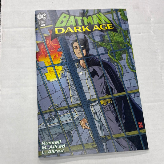 DC COMICS - BATMAN DARK AGE #2 , BOOK TWO