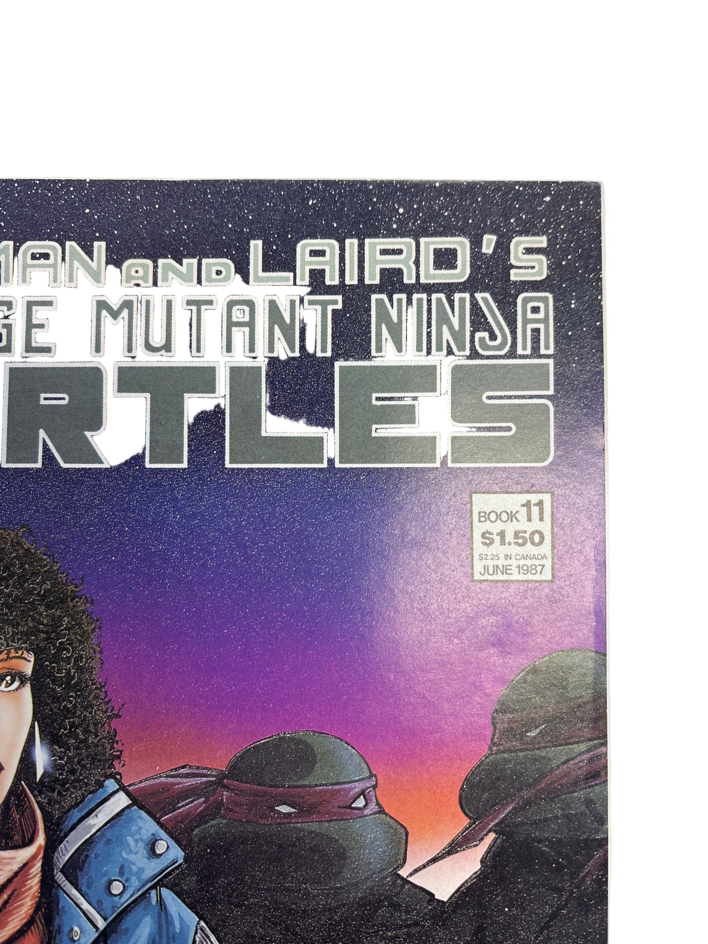 EASTMAN AND LAIRD’S TEENAGE MUTANT NINJA TURTLES #11