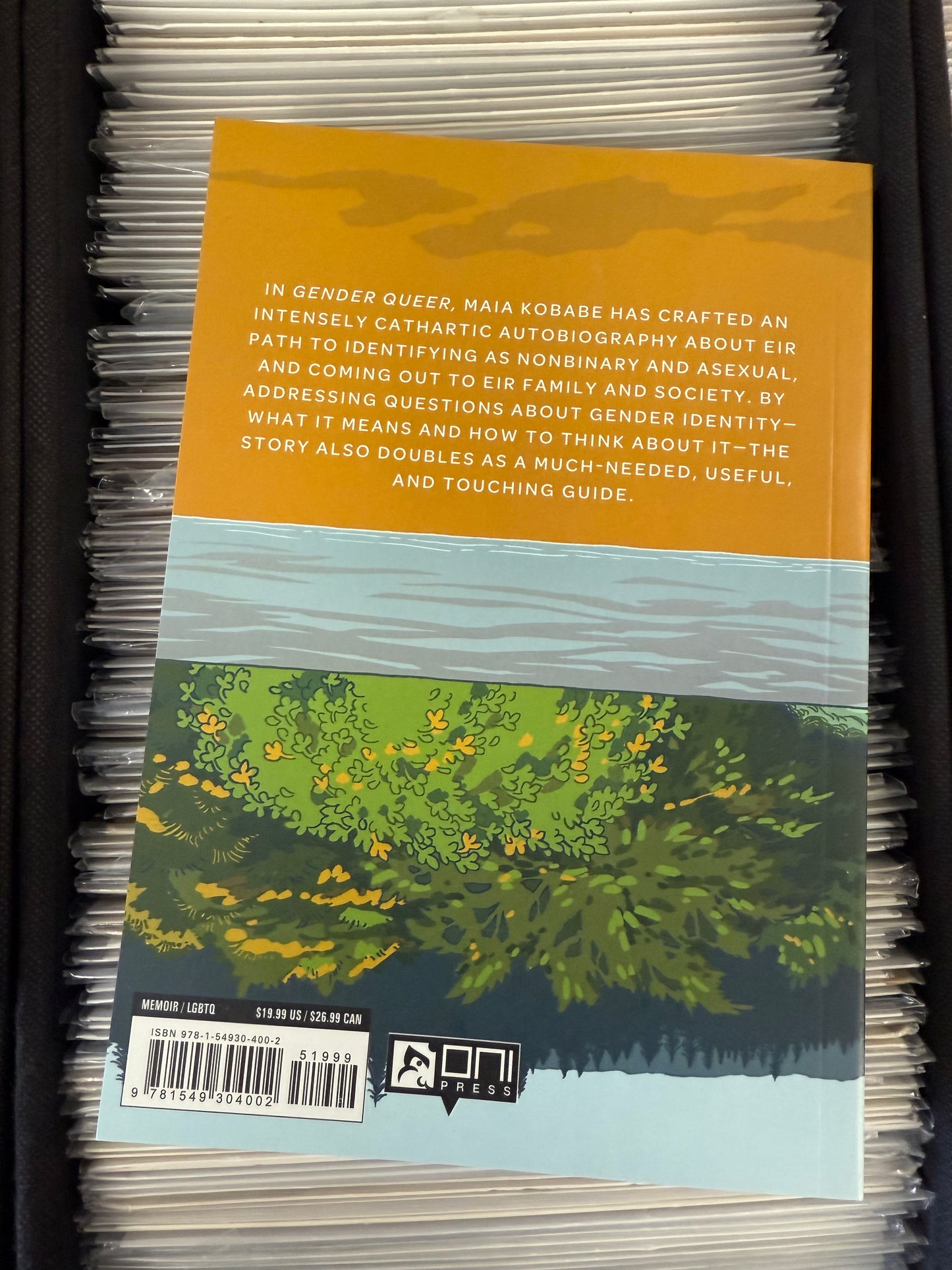 GENDER QUEER MEMIOR MAIA KNOW BABE stonewall honor book