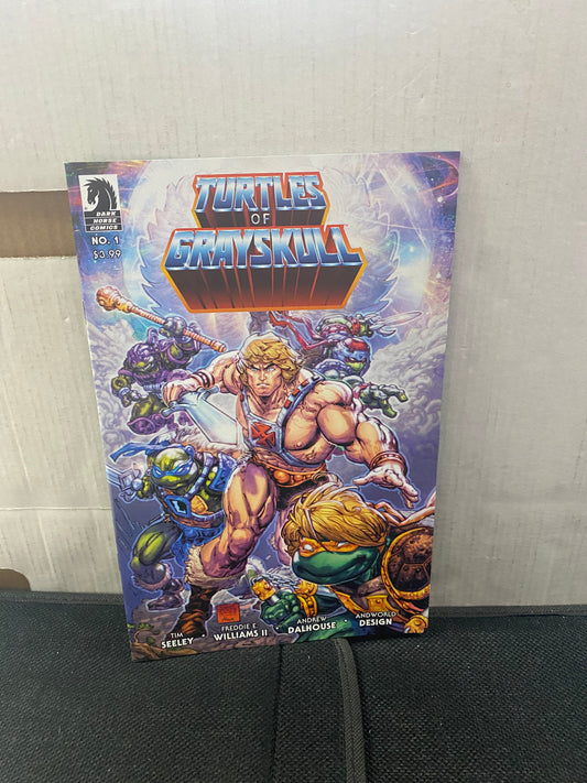 DARK HORSE COMICS TURTLES OF GRAYSKULL #1