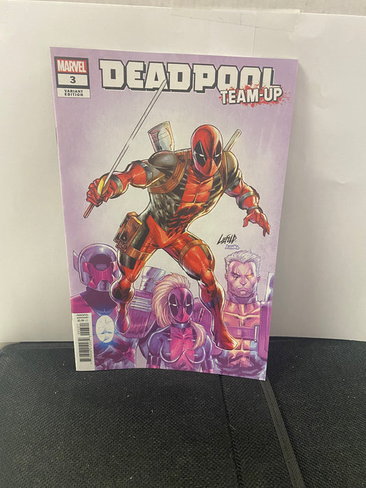 MARVEL COMICS DEADPOOL TEAM UP #3 COVER B