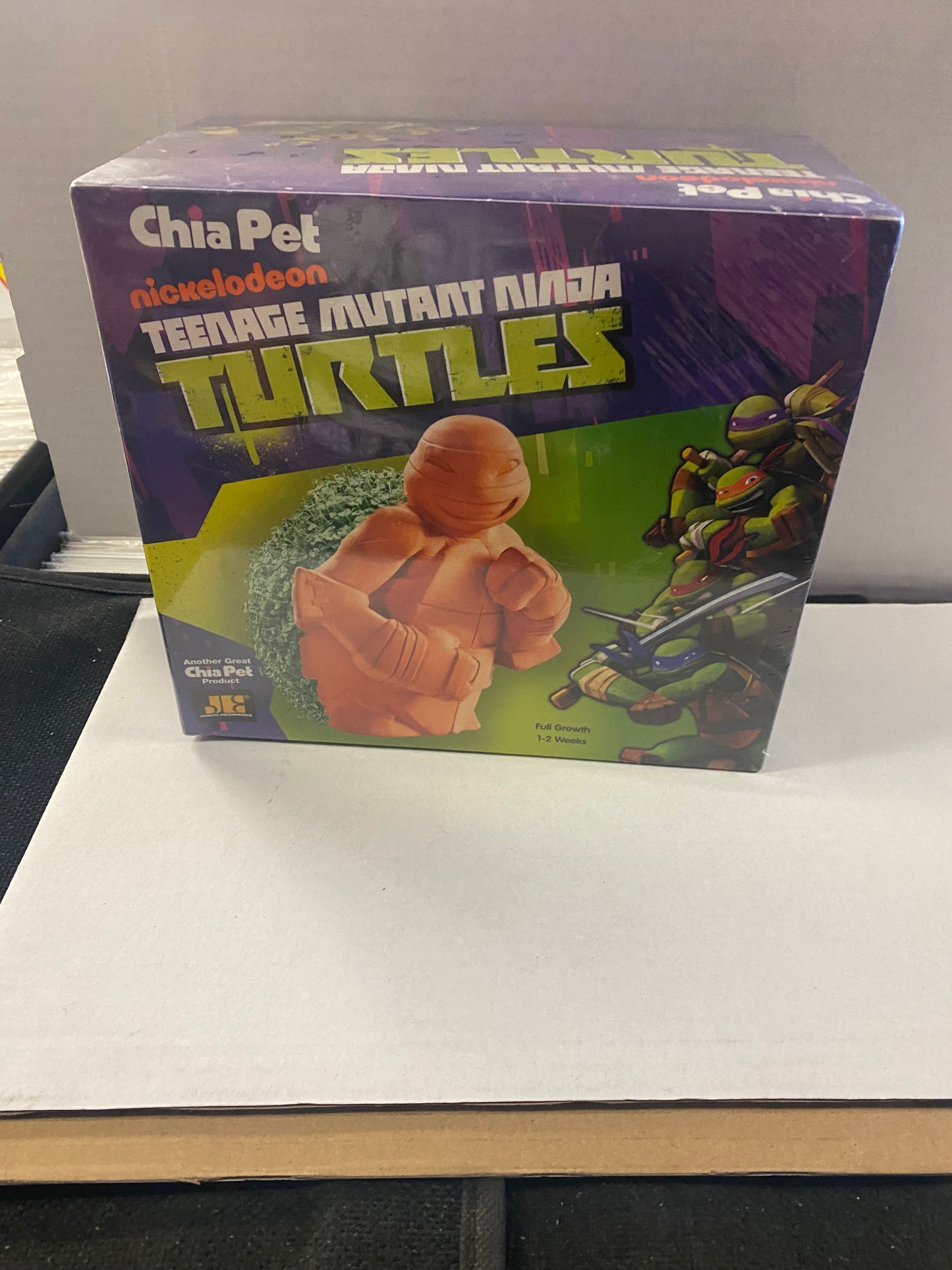 CHIA PET TEENAGE MUTANT NINJA TURTLES SEALED