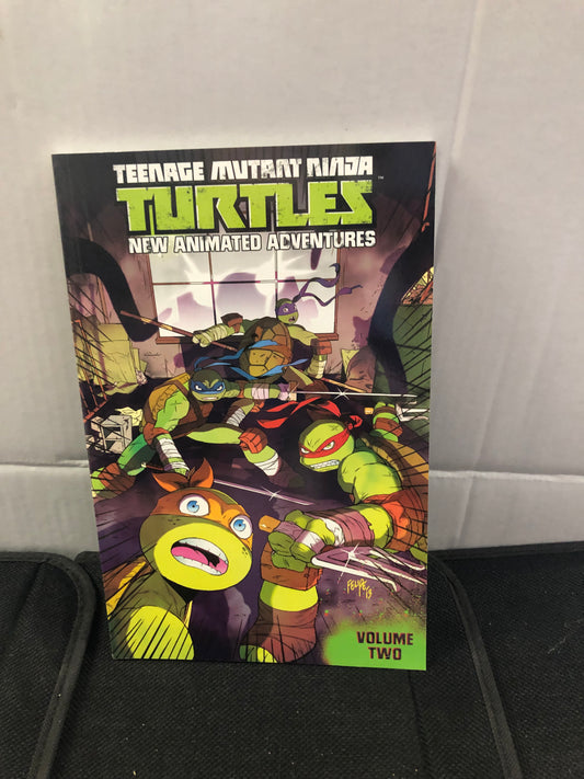 IDW PUBLISHING TEENAGE MUTANT NINJA TURTLES  NEW ANIMATED ADVENTURES VOLUME TWO SECOND PRINTING (2014)