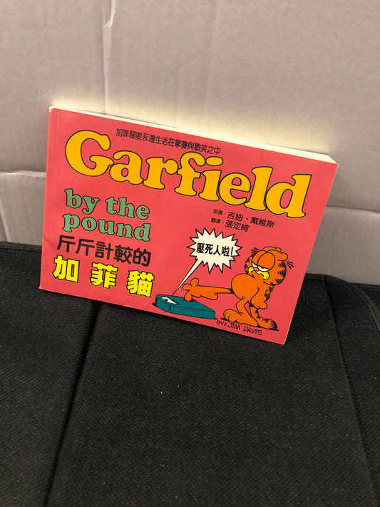 PAWS GARFIELD BY THE POUND (1999) CHINESE LANGUAGE