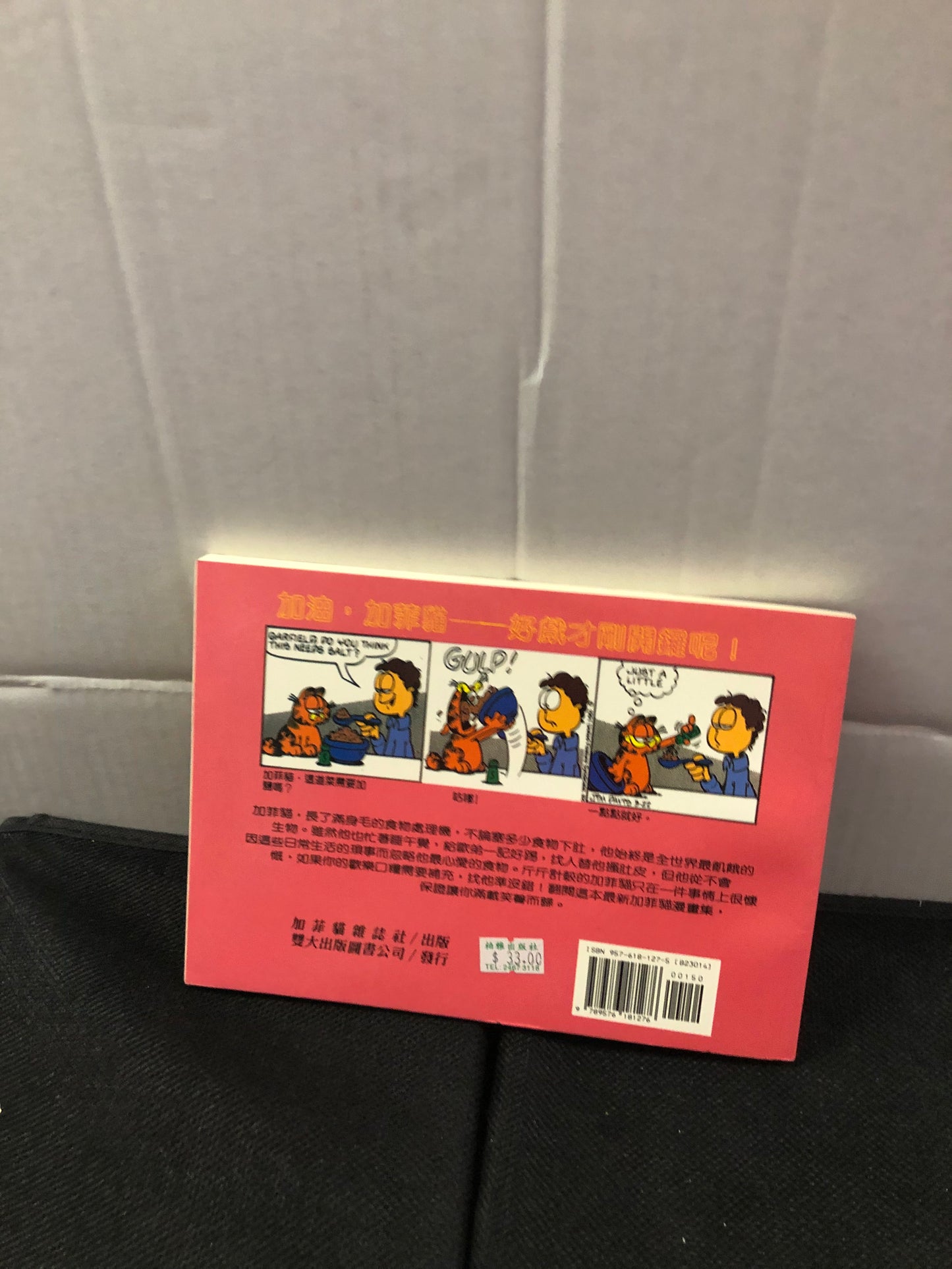 PAWS GARFIELD BY THE POUND (1999) CHINESE LANGUAGE