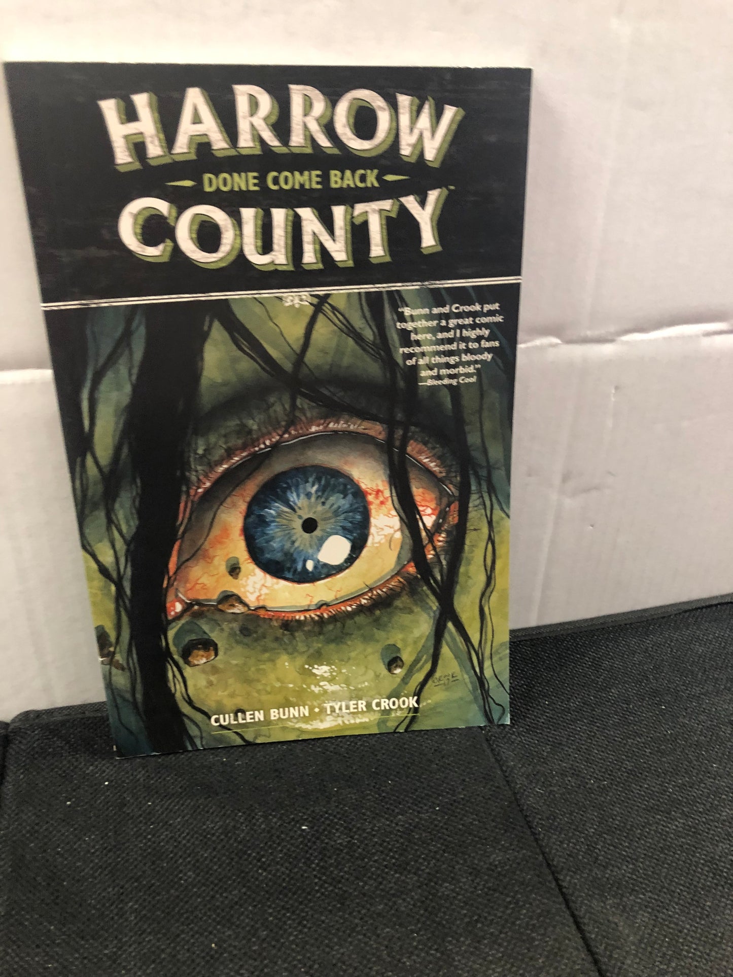 DARK HORSE COMICS HARROW COUNTY DONE COME BACK (2018)