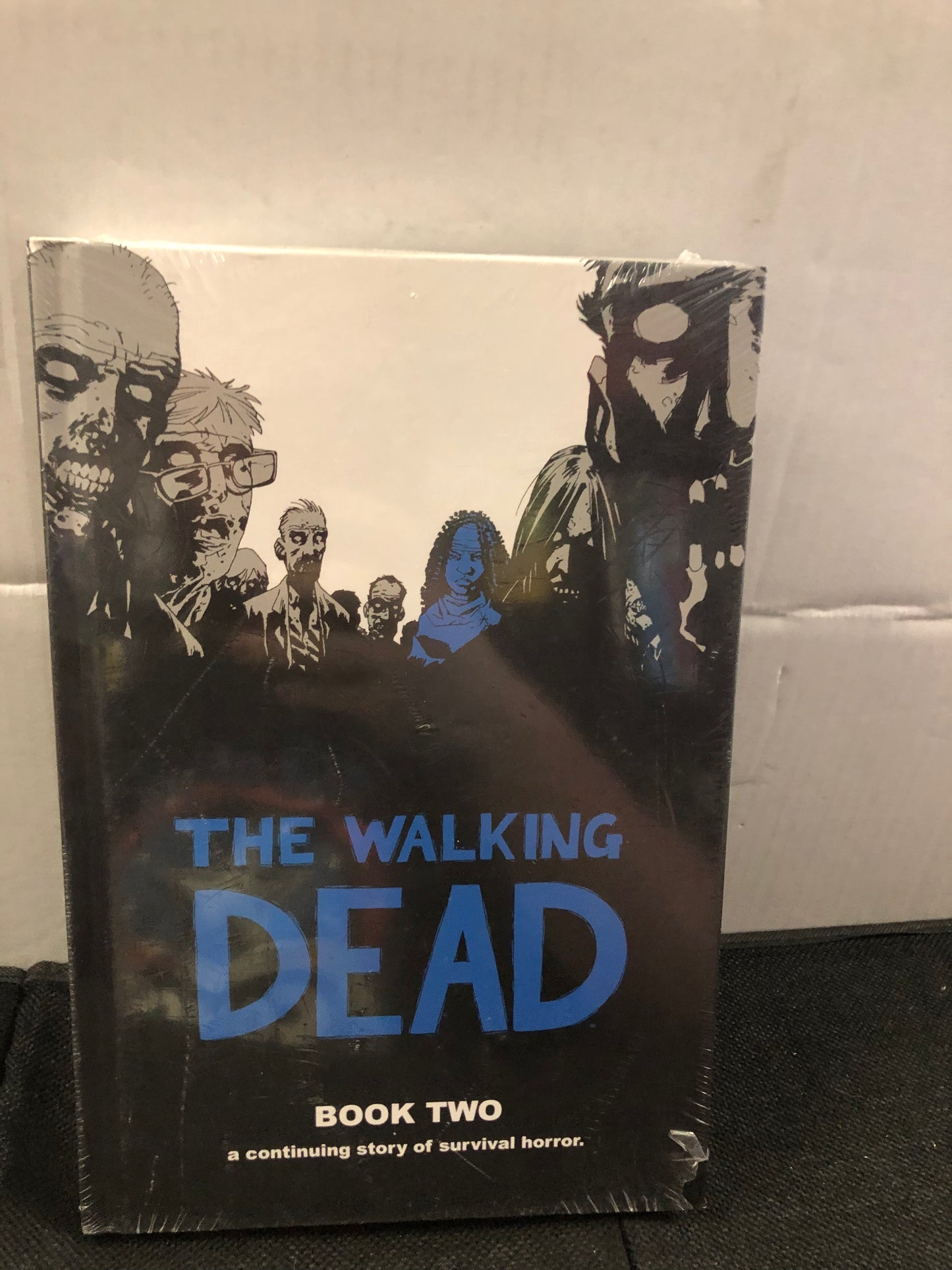 IMAGE COMICS THE WALKING DEAD BOOK TWO (2007)