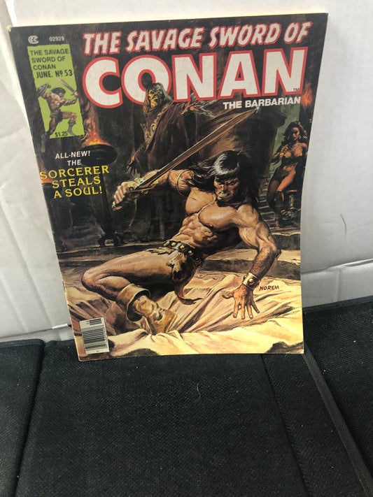 THE SAVAGE SWORD OF CONAN THE BARBARIAN #53 (1980, NOREM COVER! MAGAZINE)