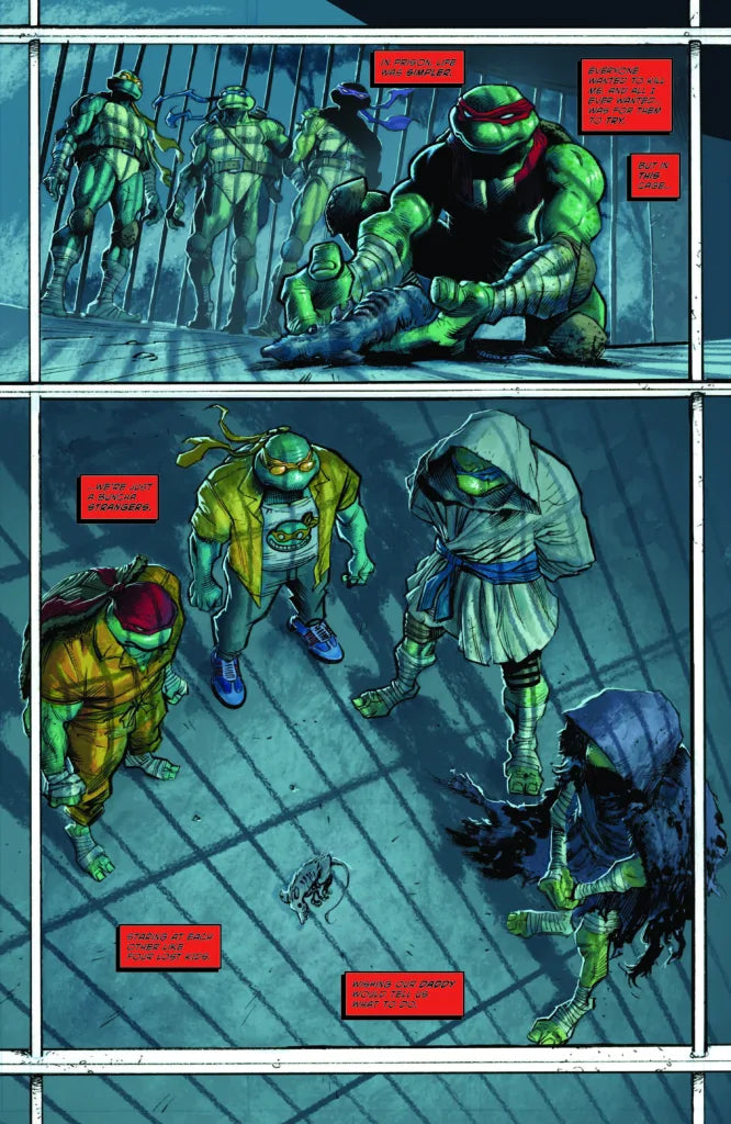 IDW PUBLISHING TEENAGE MUTANT NINJA TURTLES #10